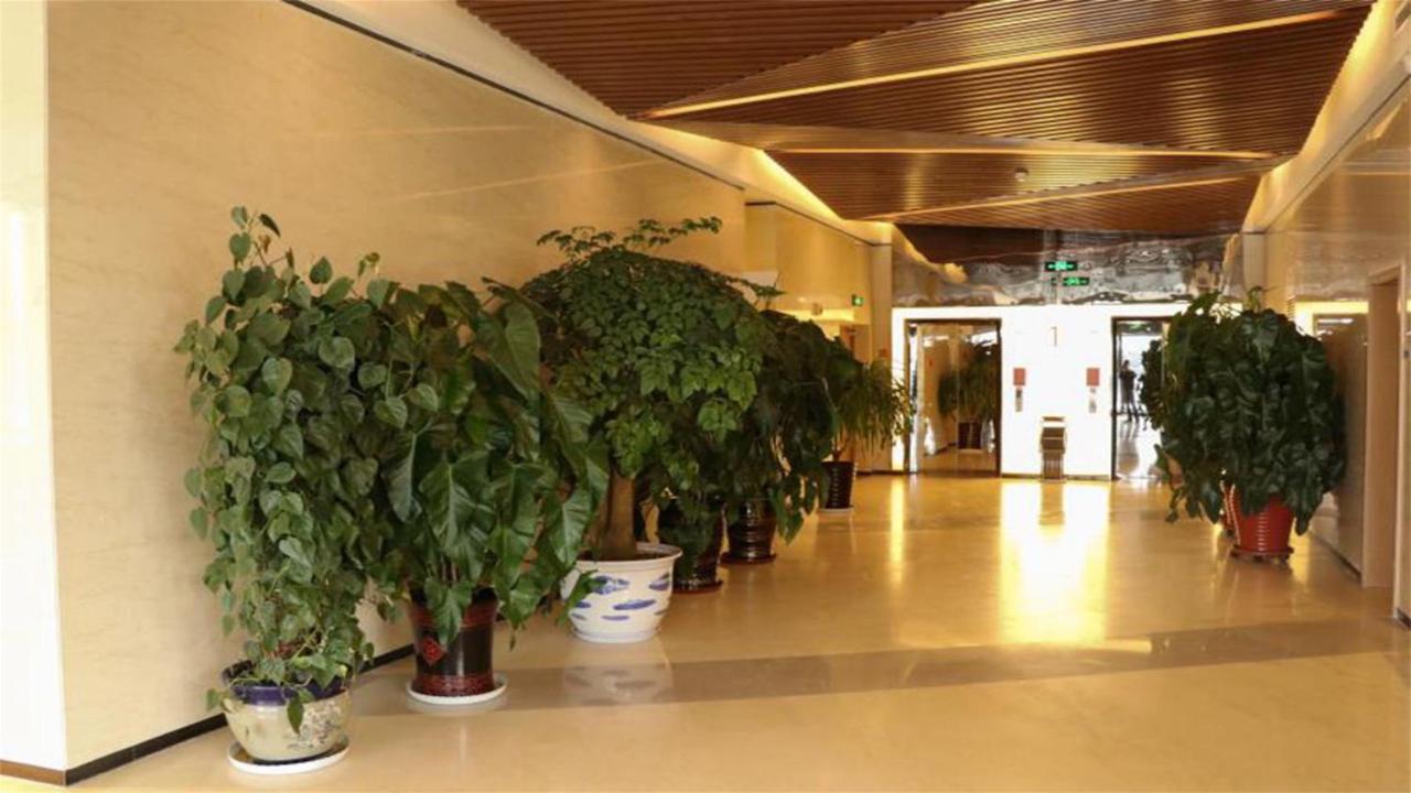 Holiday Inn Express Zhangjiakou Park View, An Ihg Hotel Экстерьер фото